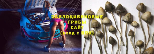 MESCALINE Богородск